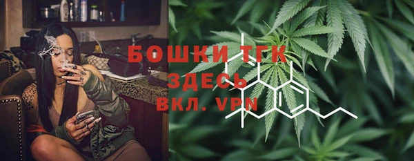 хмурый Богородицк