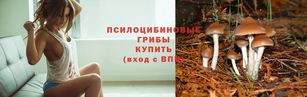 spice Богданович