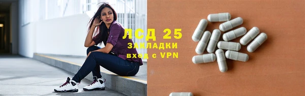 spice Богданович