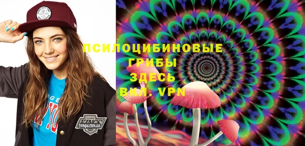 хмурый Богородицк