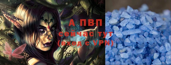 spice Богданович