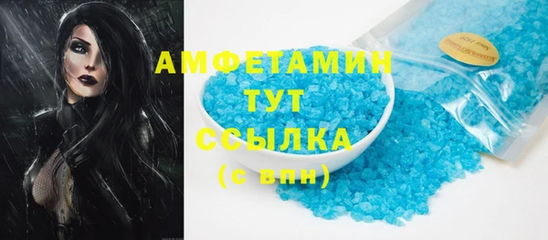 spice Богданович
