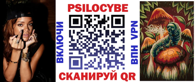 наркота  Сланцы  Псилоцибиновые грибы Psilocybe 